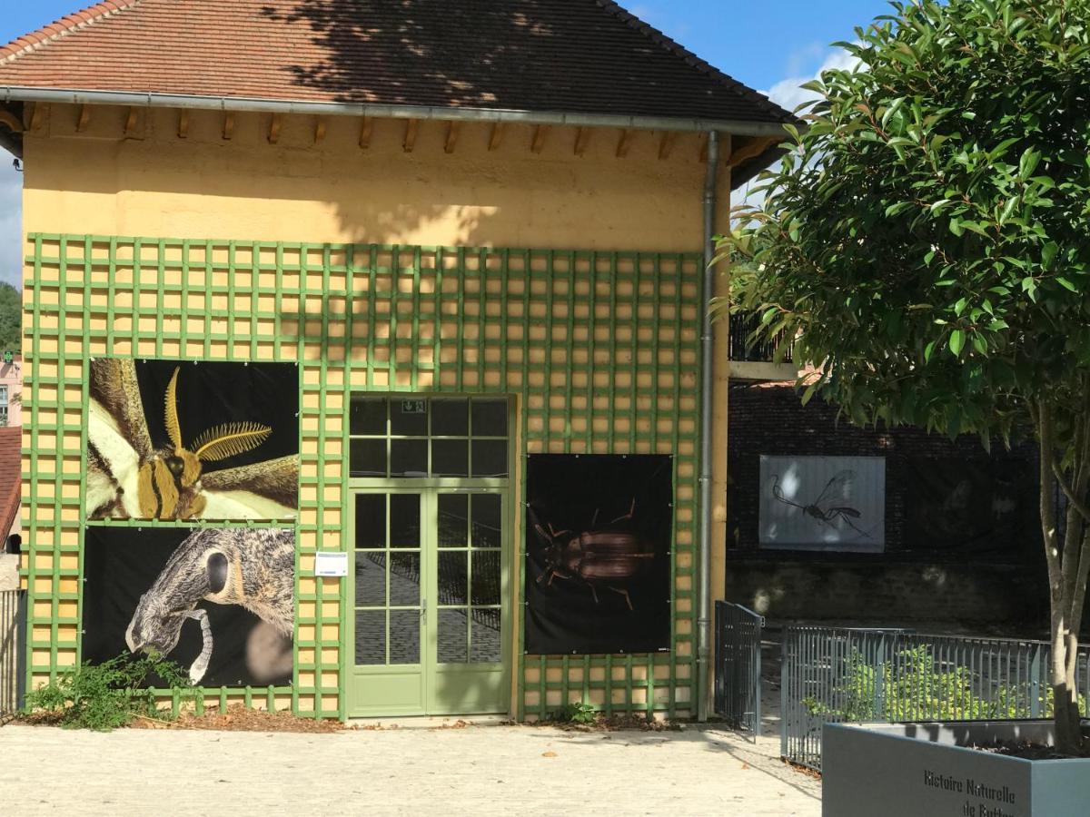 Charmante Maison Bourguignonne Avec Grand Jardin Et Parking Montbard Eksteriør billede